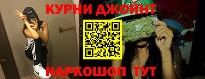 гашик Будённовск