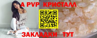 гашик Будённовск