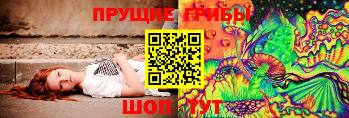 Орск  Псилоцибиновые грибы Magic Shrooms  Псилоцибиновые грибы Magic Shrooms  Вход с VPN 