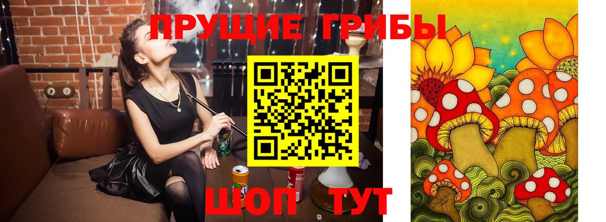 Псилоцибиновые грибы Psilocybe Орск